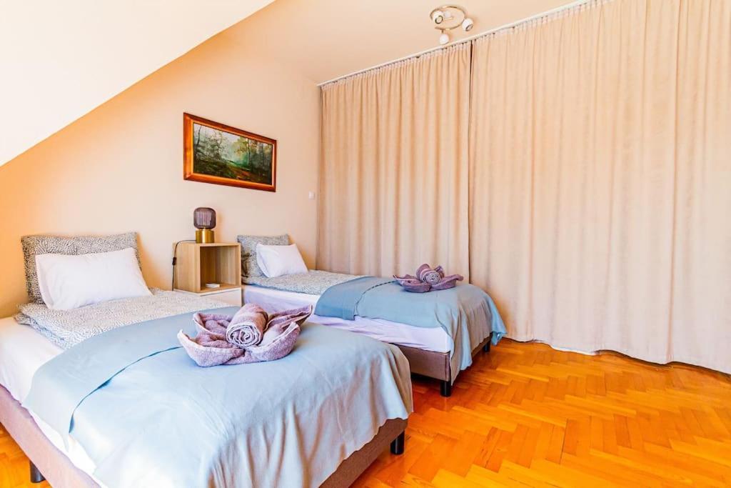Roomy Apartment 80Sqm At City Center Free Parking Space, Ac & Balcony Budapest Ngoại thất bức ảnh