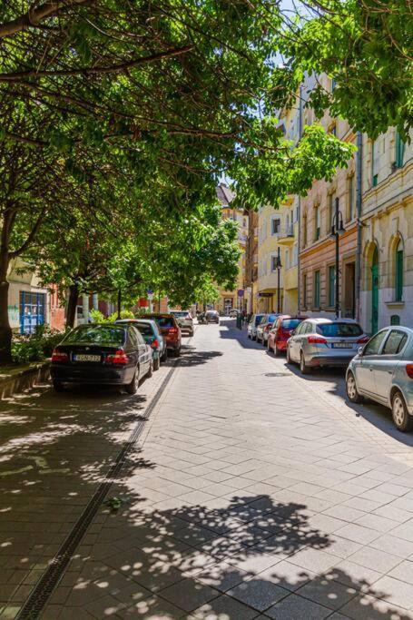 Roomy Apartment 80Sqm At City Center Free Parking Space, Ac & Balcony Budapest Ngoại thất bức ảnh
